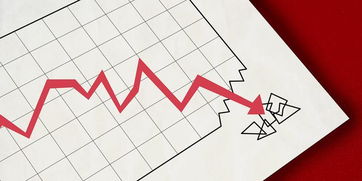 扣非凈利連虧七年，天津普林收深交所年報問詢函